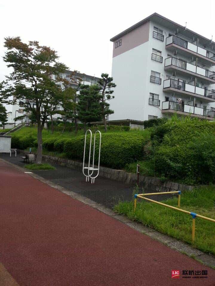 三明治漢堡加工女工(圖6)