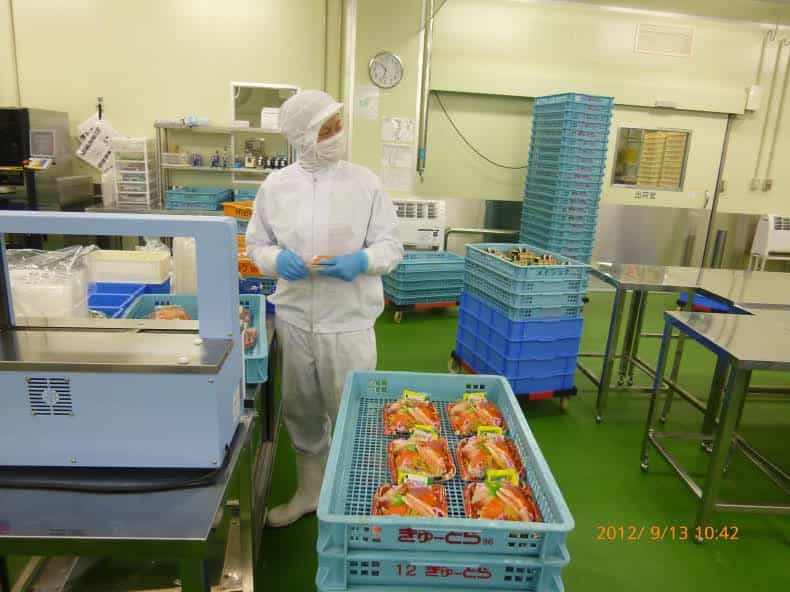 盒飯加工女工(圖2)